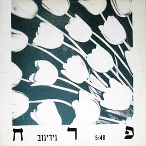 Album cover art for "Perach - פרח" by Gidi Gov - גידי גוב