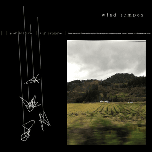 Album cover art for "Wind Tempos" by Rika Miku & 初音ミク (Hatsune Miku)