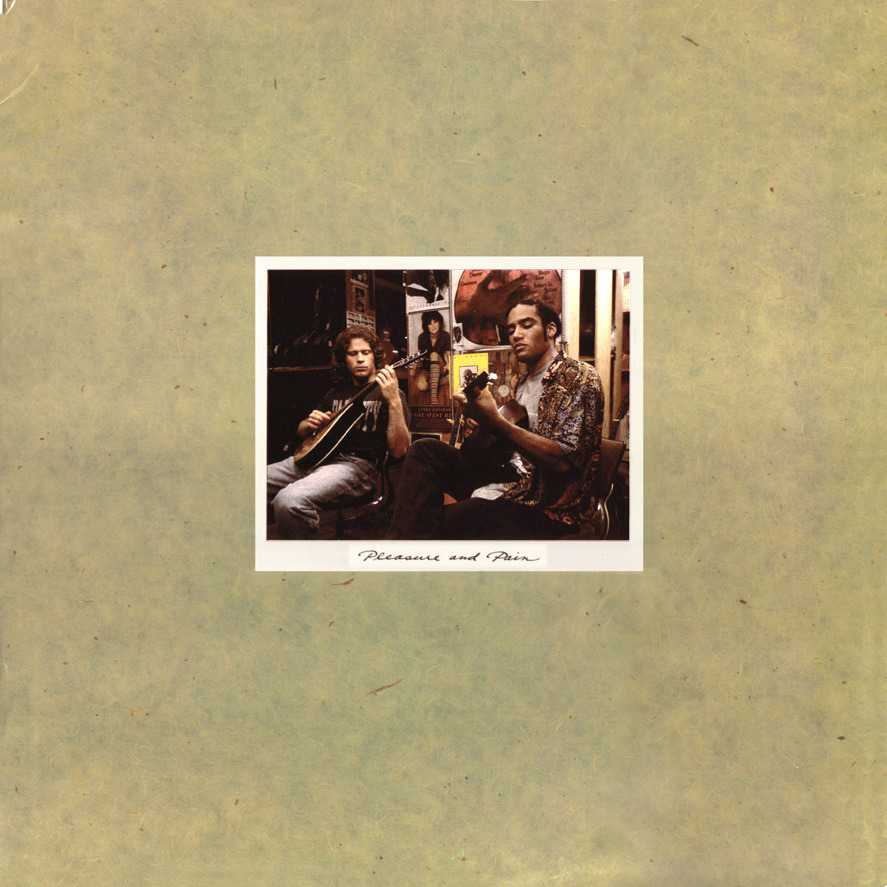 Cover image for Pleasure and Pain