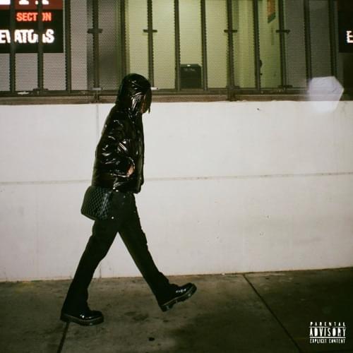 Album cover art for "malnourished" by sgpwes