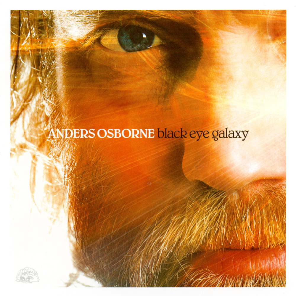 Mind of a Junkie by Anders Osborne