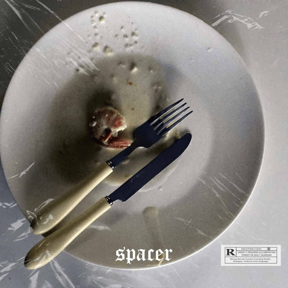 Album cover art for "SPACER" by Frosti