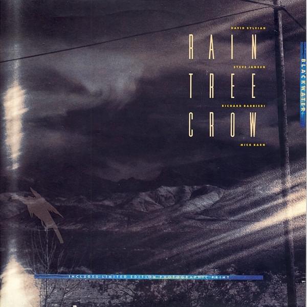 Blackwater by Rain Tree Crow
