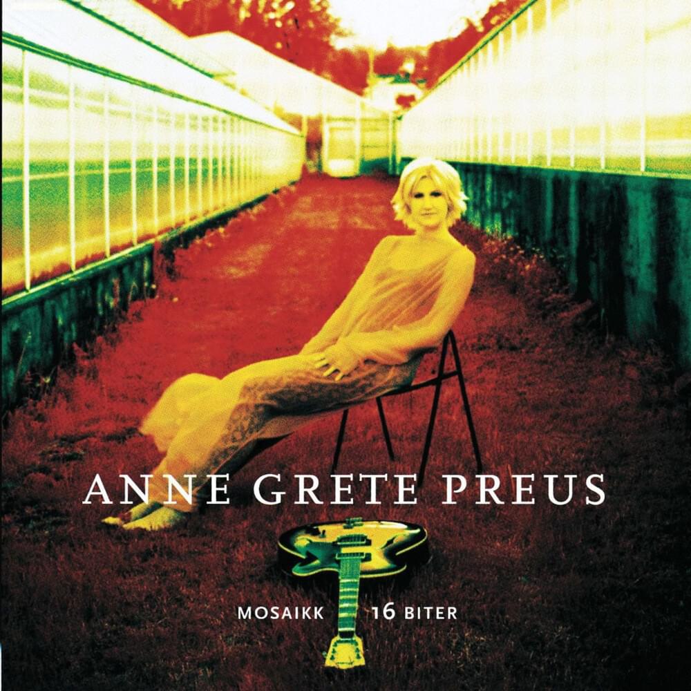 Når Himmelen Faller Ned by Anne Grete Preus