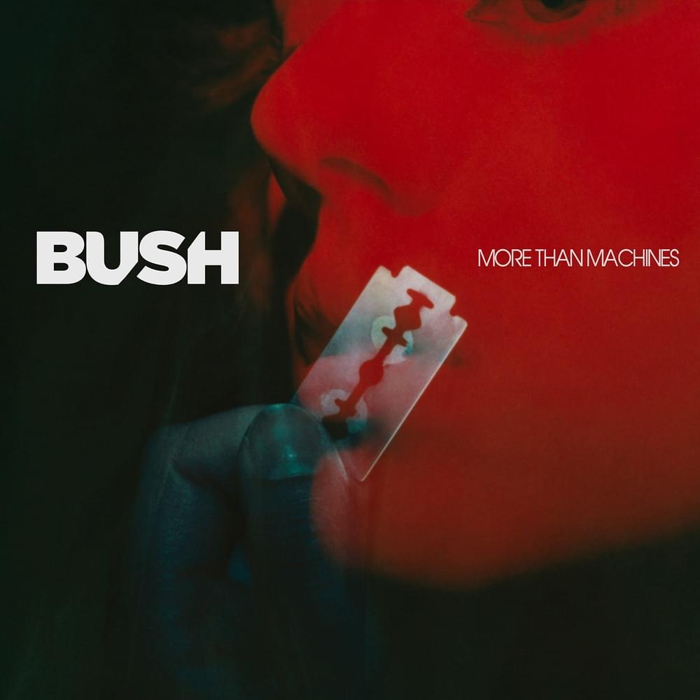 Album cover art for "More Than Machines" by Bush