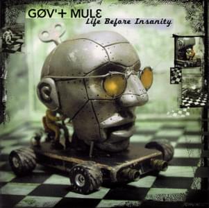 Album cover art for "Fallen Down" by Gov’t Mule