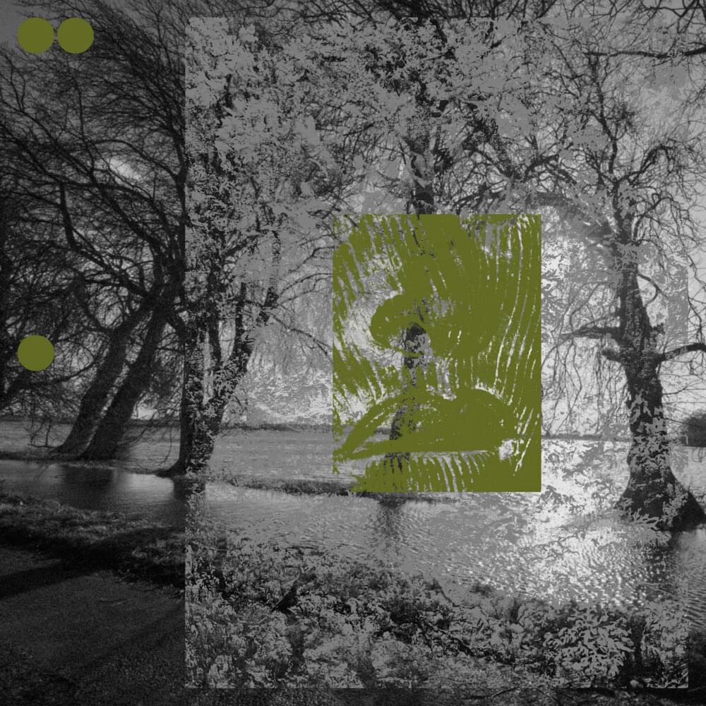 Album cover art for "Mercy Mercy Me (The Ecology)" by The Vernon Spring