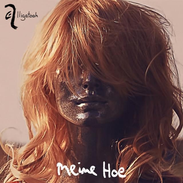 Album cover art for "Meine Hoe" by Alligatoah