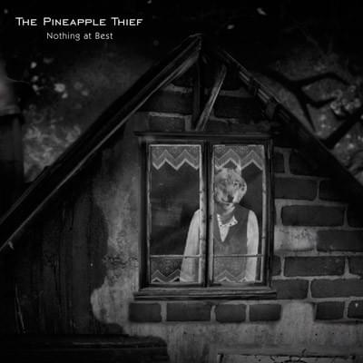 Album cover art for "Nothing At Best" by The Pineapple Thief