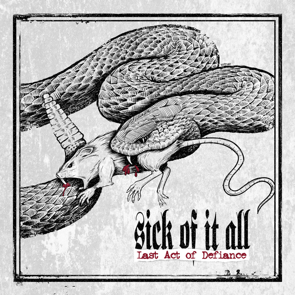Dnc by Sick of It All