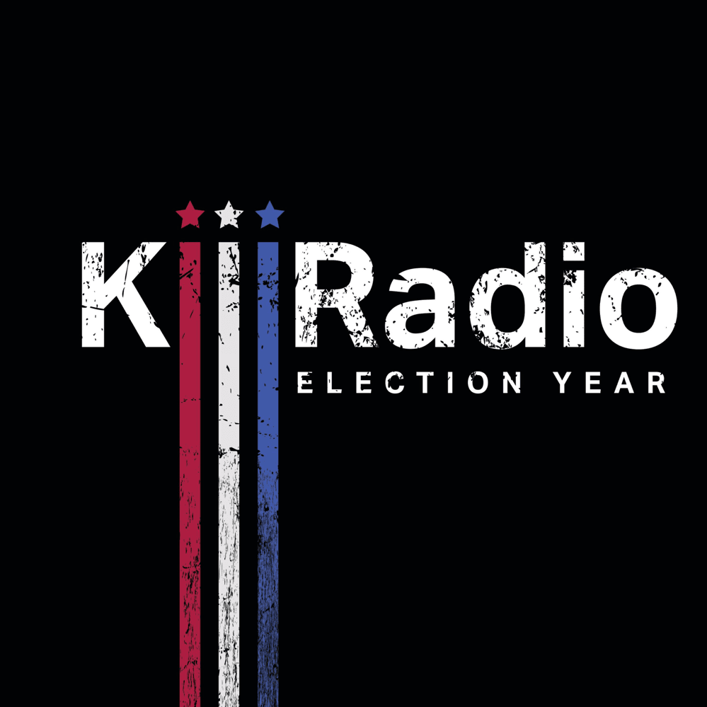 Cover image for Election Year
