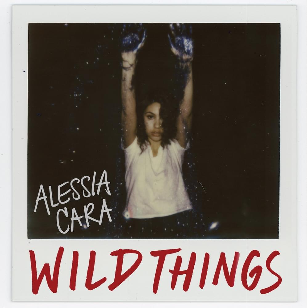 Album cover art for "Wild Things" by NOW That’s What I Call Music!