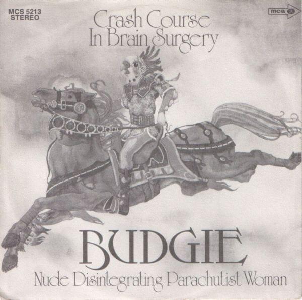 Crash Course in Brain Surgery by Budgie