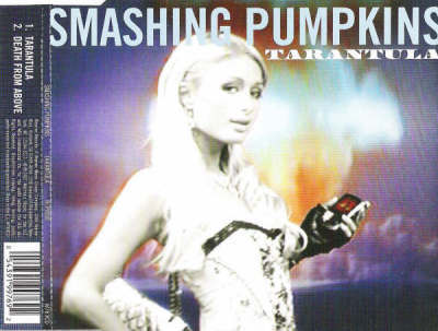 Cover image for Tarantula