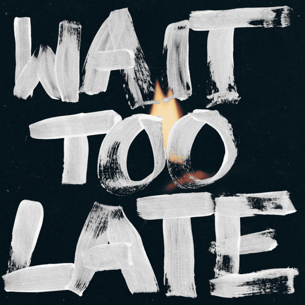 Wait Too Late by Lizzie Esau