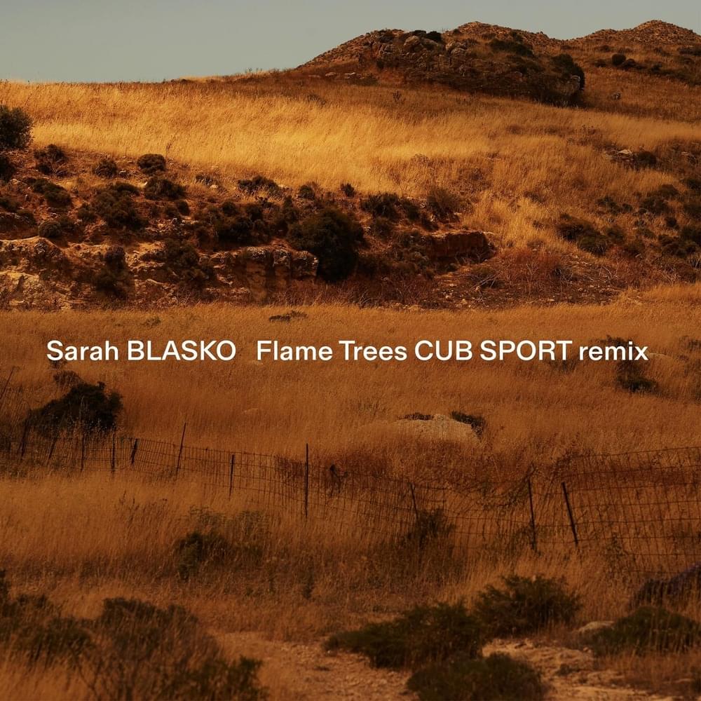 Cover image for Flame Trees (Cub Sport Remix) - Single