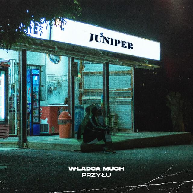 Album cover art for "Władca Much" by przyłu