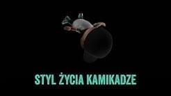Album cover art for "Styl życia kamikadze" by Joda