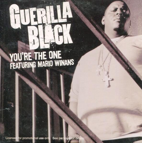 You’re The One by Guerilla Black