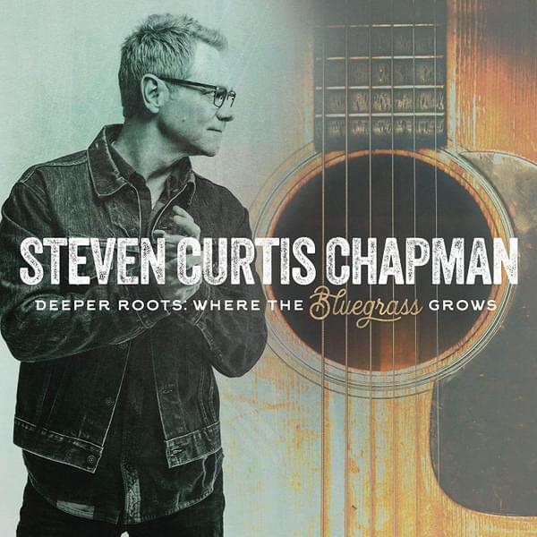 Album cover art for "Dive (Deeper Roots)" by Steven Curtis Chapman & Ricky Skaggs