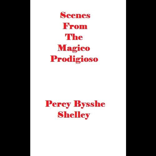 Cover image for Scenes from the Magico Prodigioso