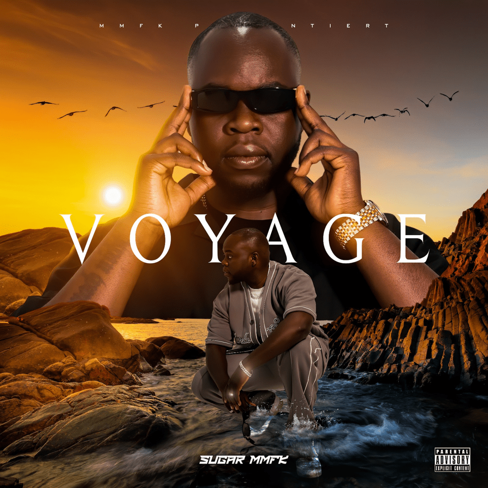 Cover image for Voyage 