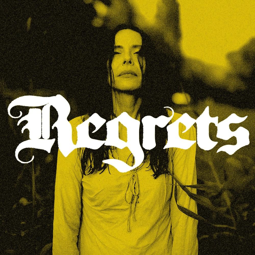 Album cover art for "Regrets" by Nerina Pallot