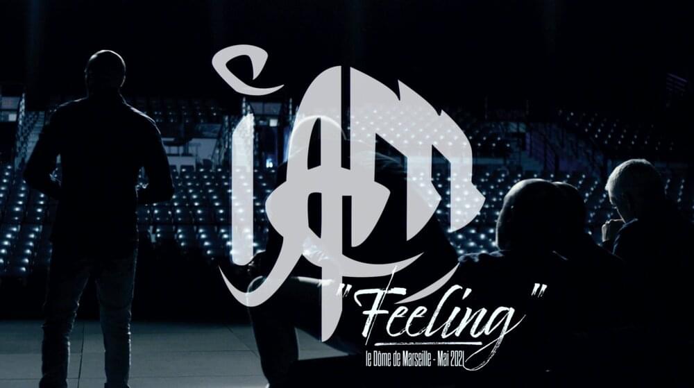 Album cover art for "Feeling" by IAM
