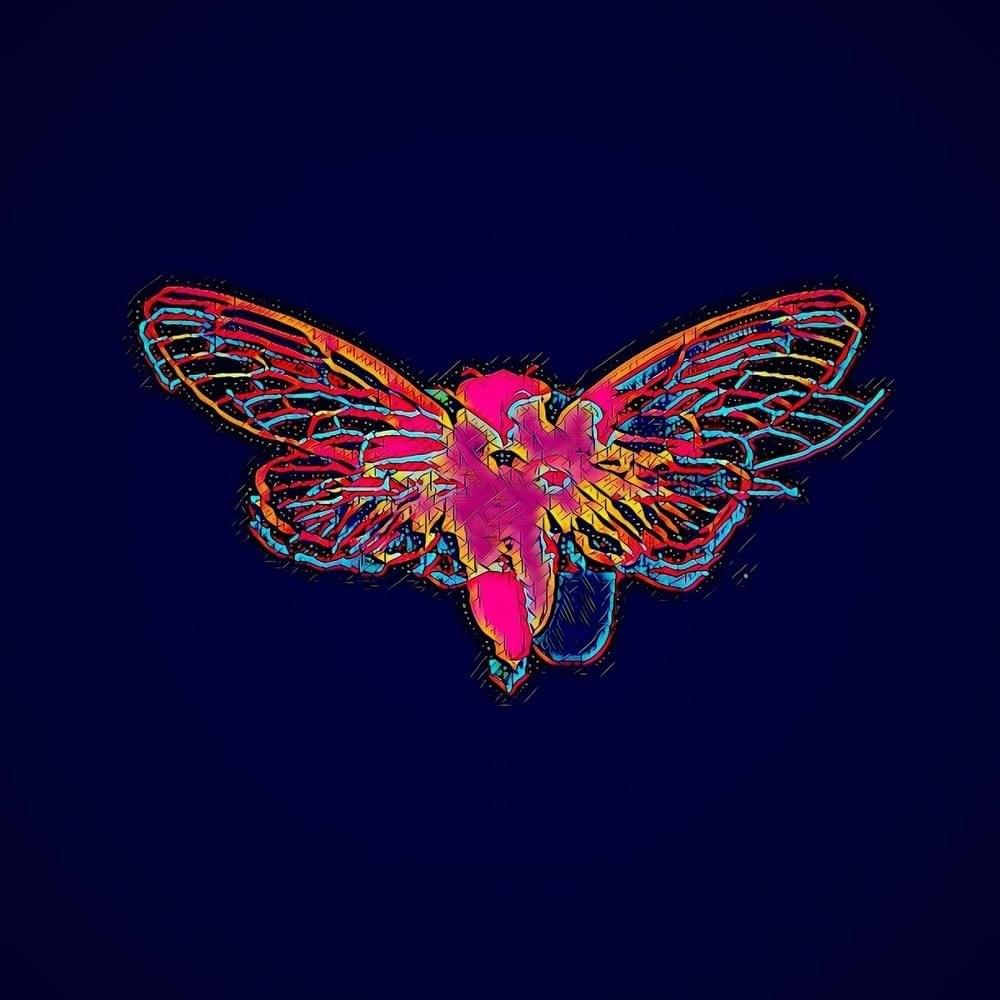 Cover image for CiCadas (ReMixes)