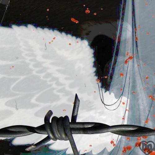 Album cover art for "paparazzi" by SEBii