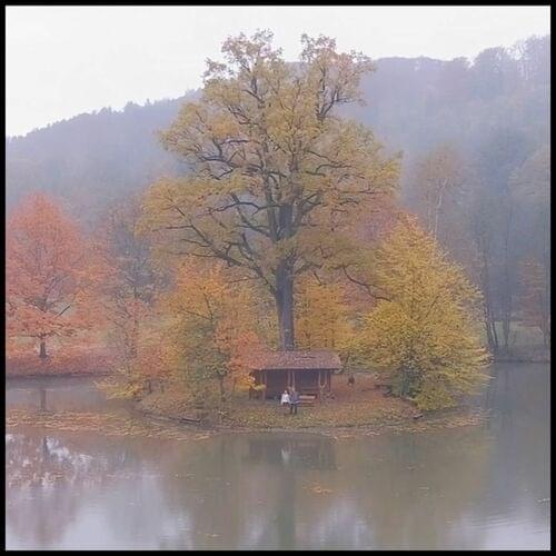 Album cover art for "In Love" by Devon Rea & Roarke & Lovewithme