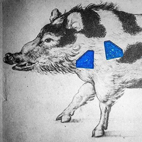 Kosmokhapka Cover Art