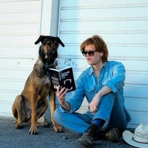 Album cover art for "Love Is a Dog From Hell" by The Amazons