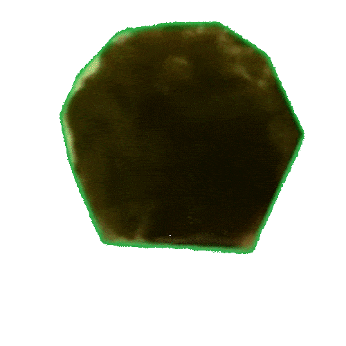 Photo of Bye-Product