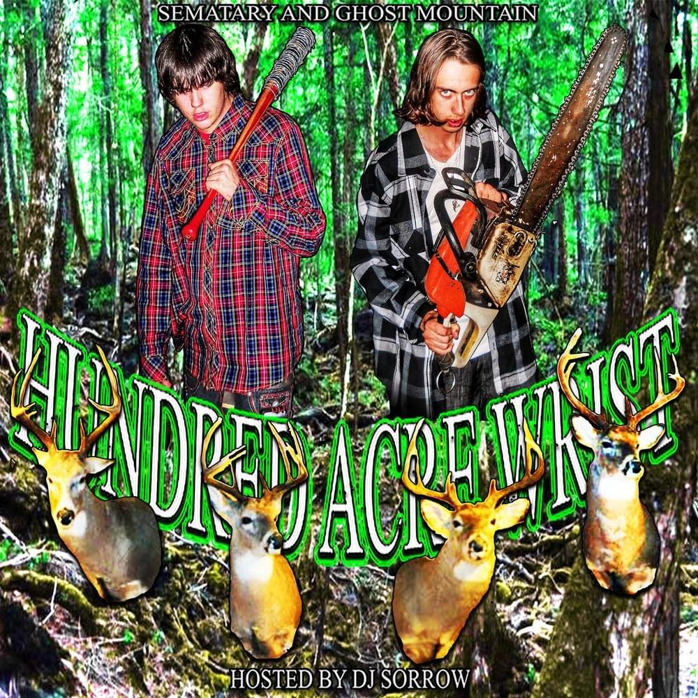 Album cover art for "GOODBYE HORSES" by SAPPH1R3