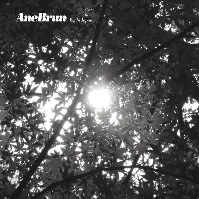 Album cover art for "Big in Japan" by Ane Brun
