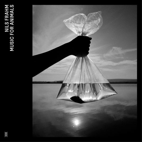 Mussel Memory by Nils Frahm