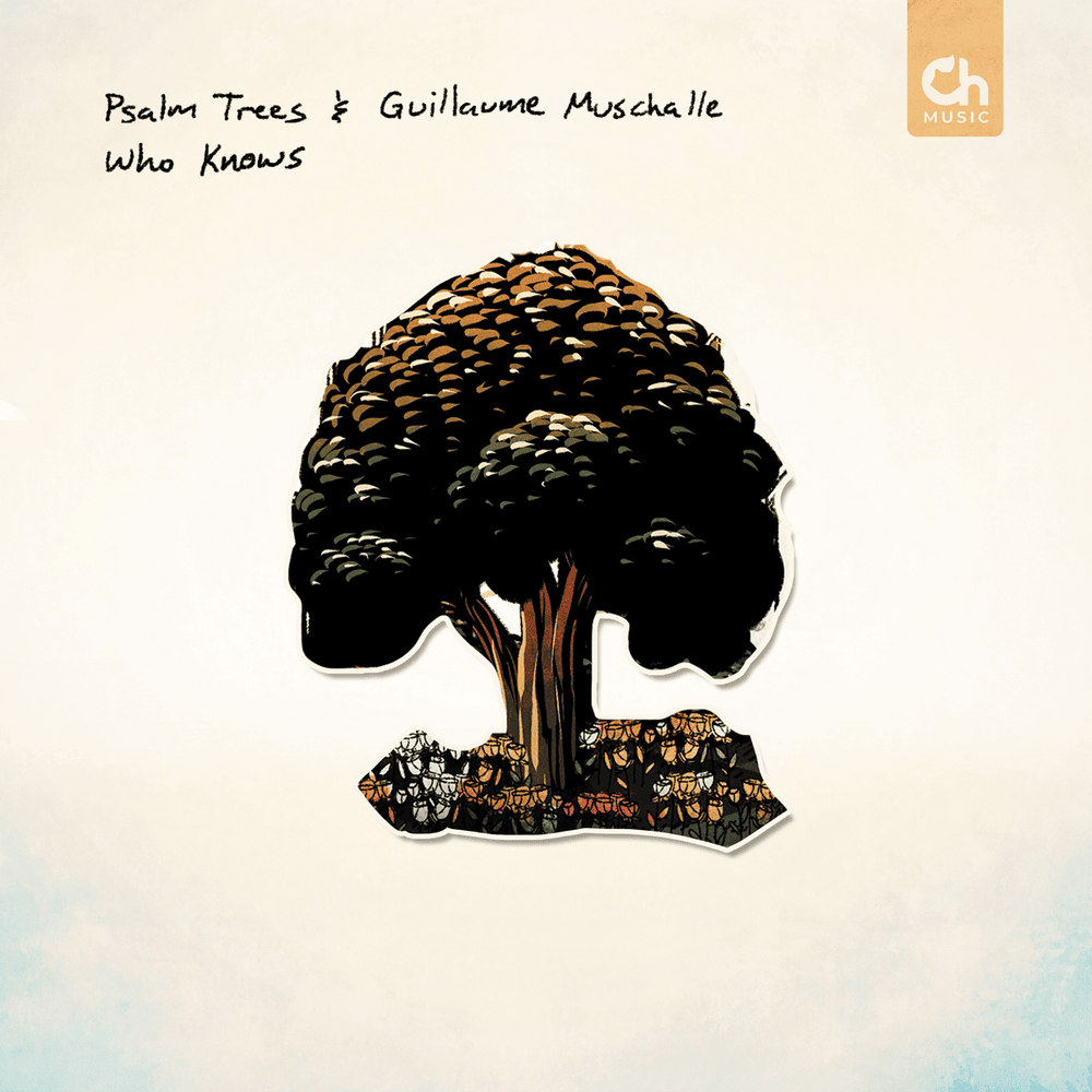 Album cover art for "Who Knows" by Psalm​ Trees