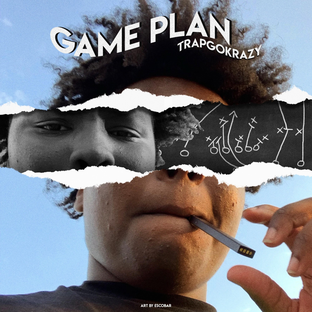 Cover image for Game Plan