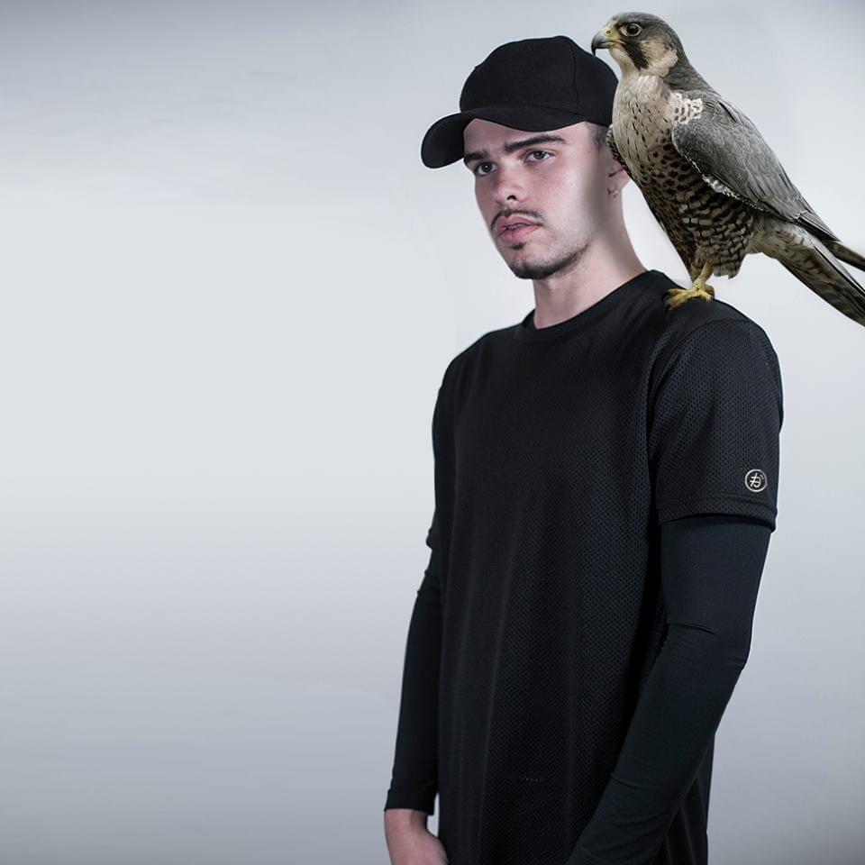 Cover image for Falcons