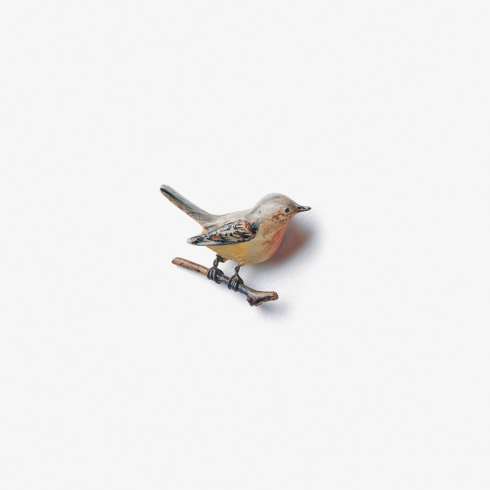 Album cover art for "F Delano" by Kishi Bashi
