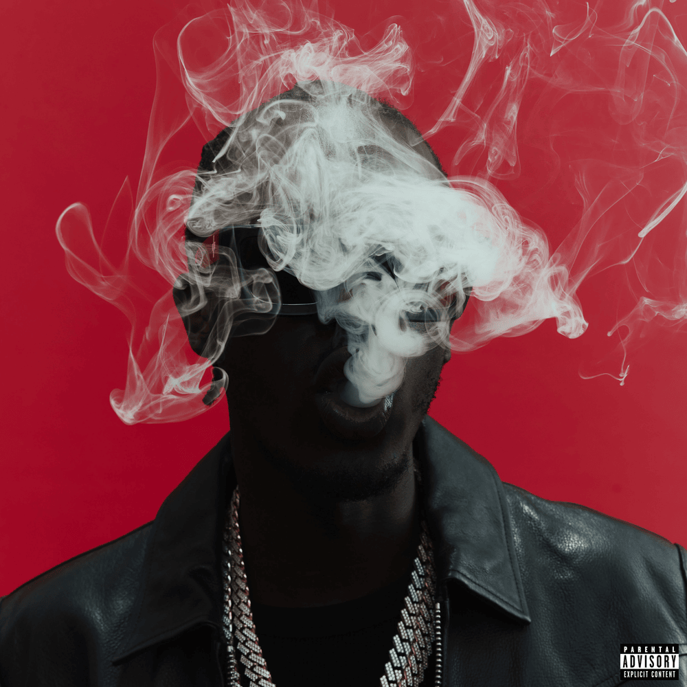 Cover image for Before the Smoke