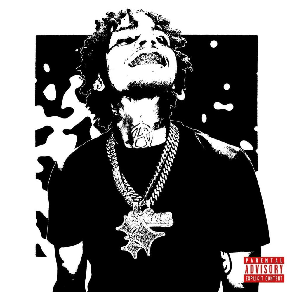 Cover image for WE LOVE D. SAVAGE