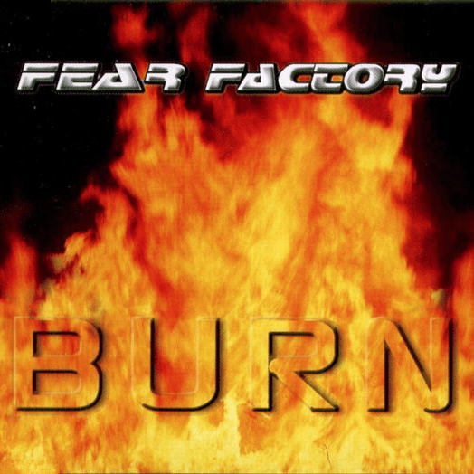 Cover image for Burn