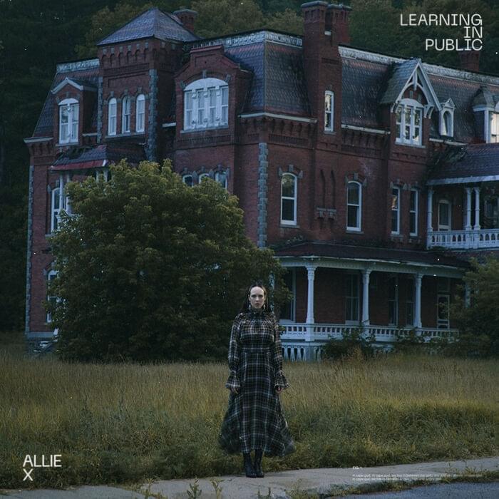 Album cover art for "Learning in Public" by Allie X