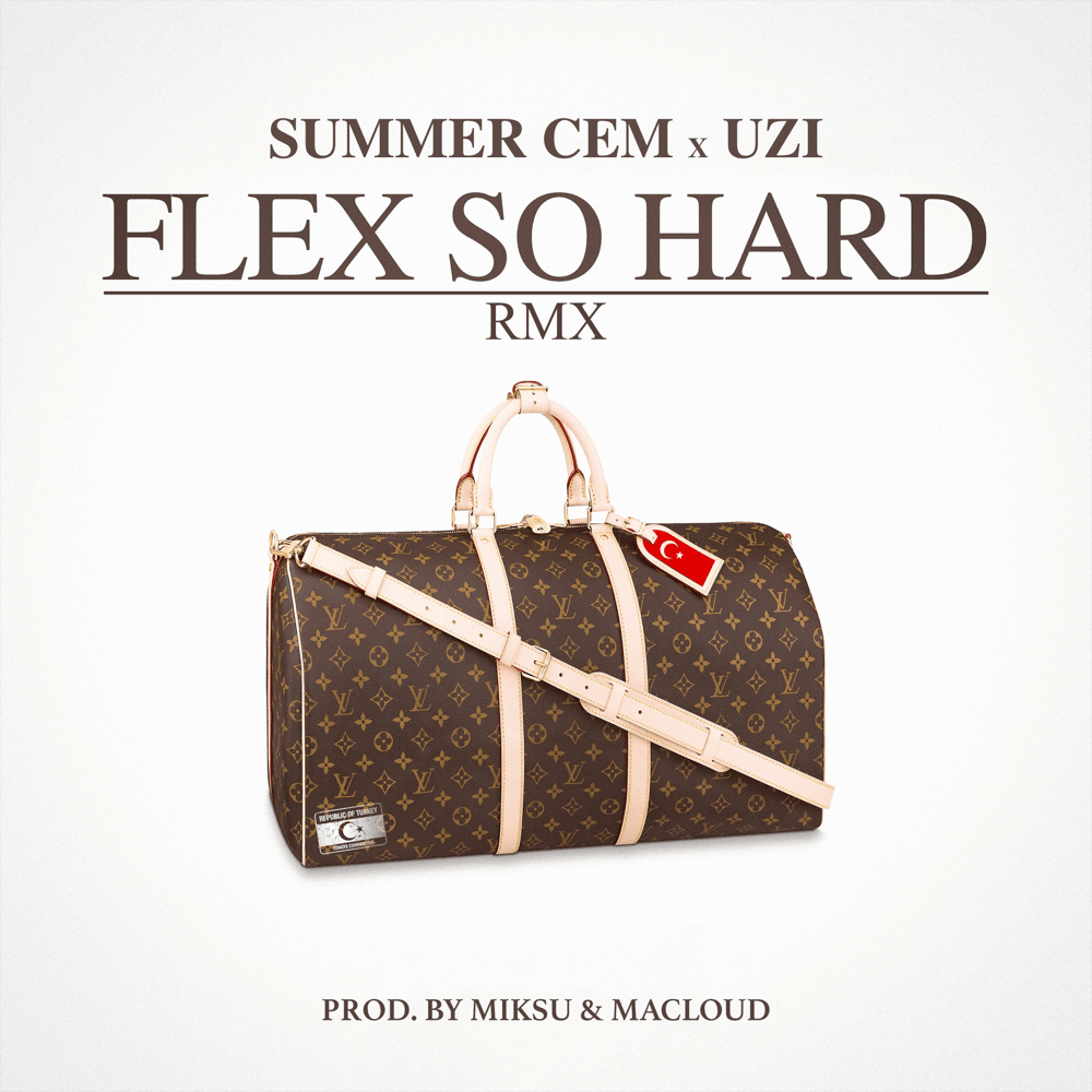 Album cover art for "FLEX SO HARD RMX" by Summer Cem