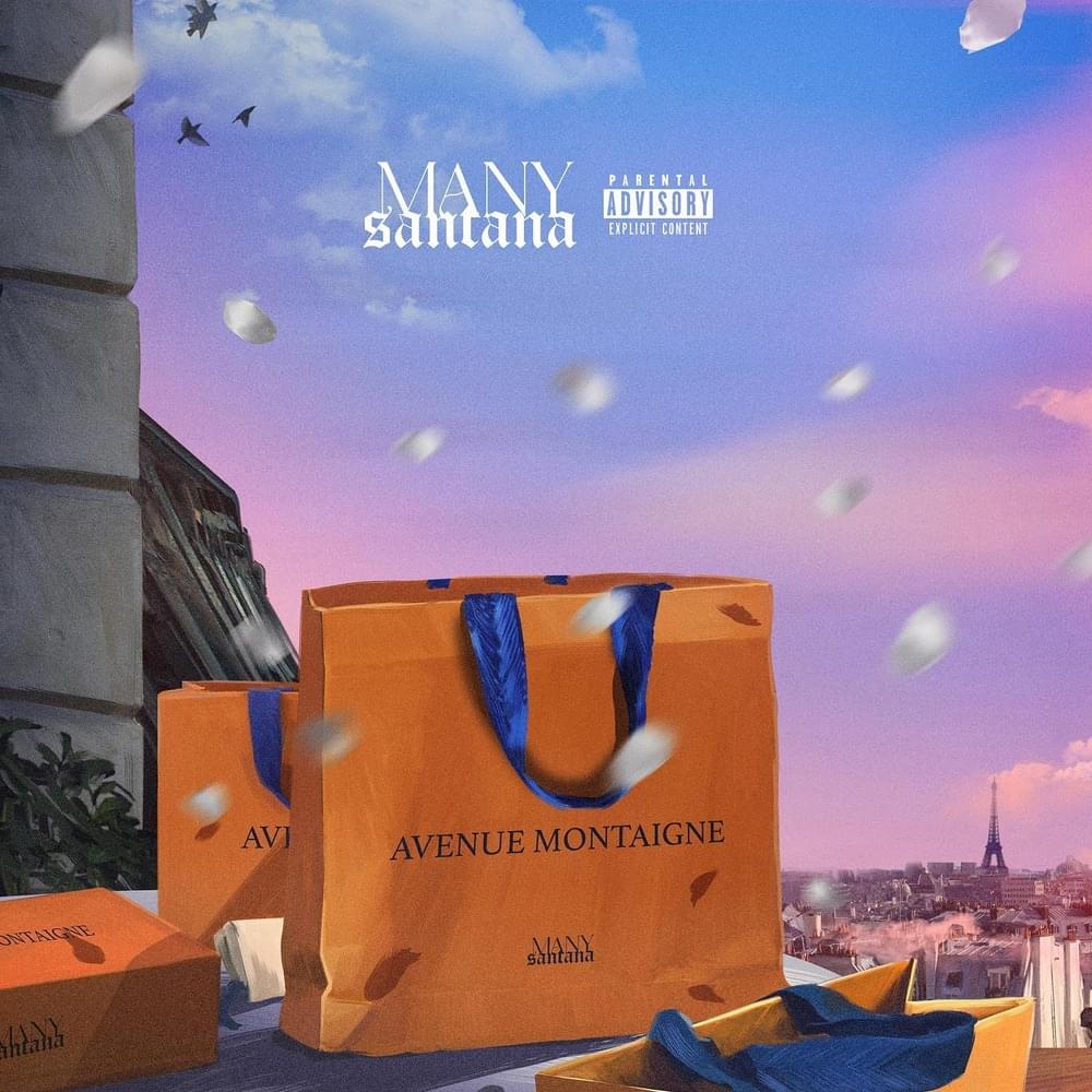 Avenue Montaigne by Many Santana