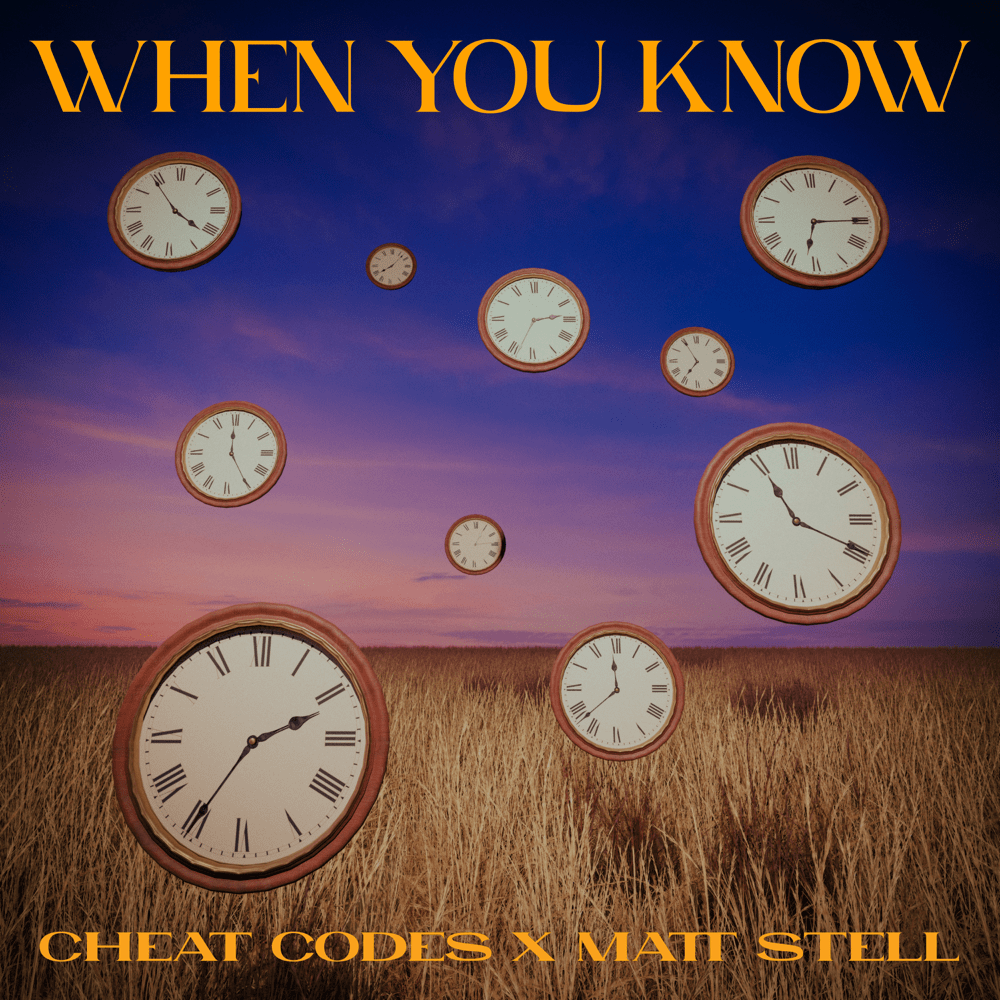 Album cover art for "When You Know" by Cheat Codes