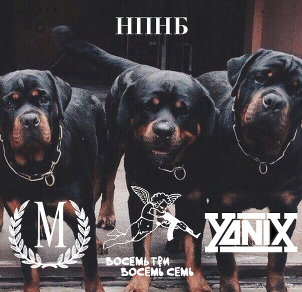 Album cover art for "НПНБ (NGOB)" by МЕЗЗА (MEZZA) & Yanix