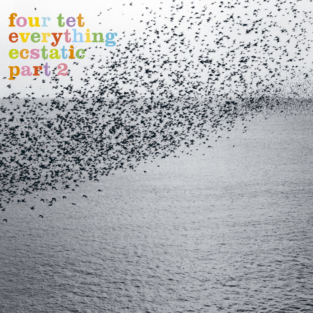 Cover image for Everything Ecstatic, Part 2